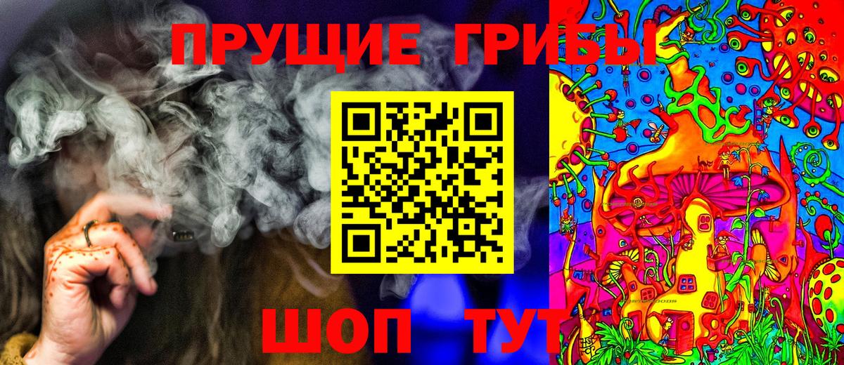 Псилоцибиновые грибы Psilocybine cubensis Коркино